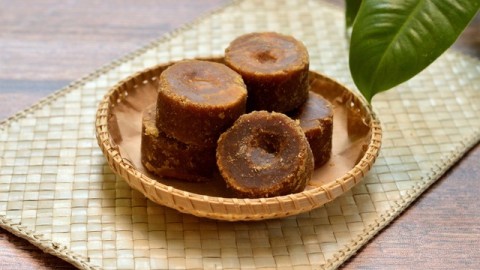 MEMANEN MANISNYA AREN DI SARANG TIUNG