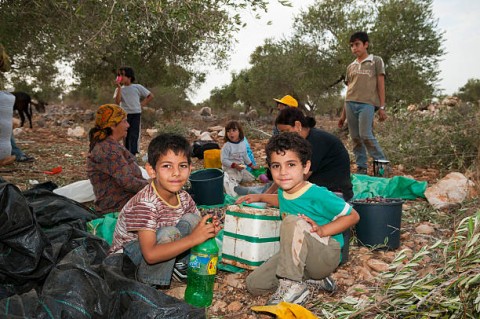 Prabowo: RI Siap Tampung anak-anak Palestina yang Alami Trauma 