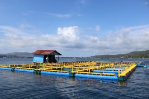 Keramba Jaring Apunguntuk Budidaya Lobster