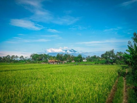 Digitalisasi Kunci Reforma Agraria