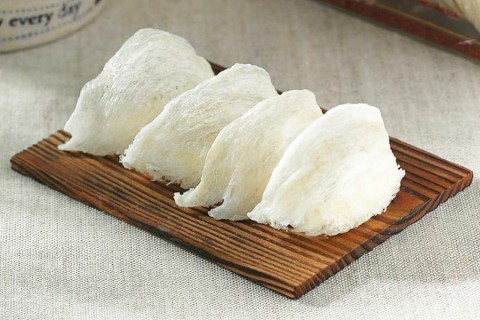 Pengusaha Sarang Burung Walet Minta Kemudahan Ekspor