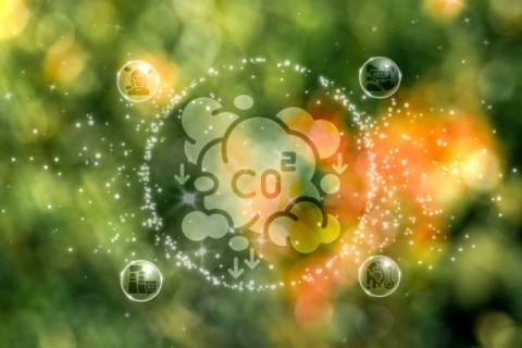 Kementerian Lingkungan Hidup Meluncurkan Perdagangan Karbon Internasional Perdana untuk Pasar Wajib