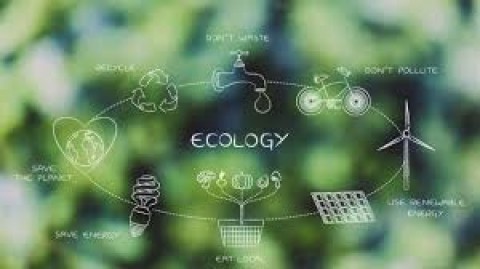 Transformasi Ekonomi Hijau