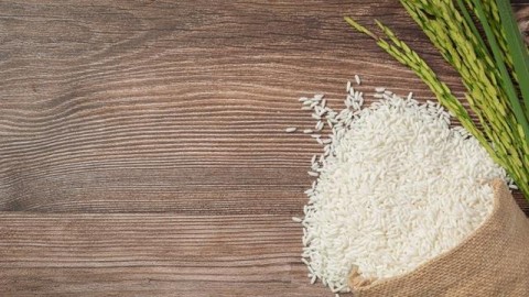 KEMISKINAN EKSTREM : Sumut Bersiap Menebar Beras