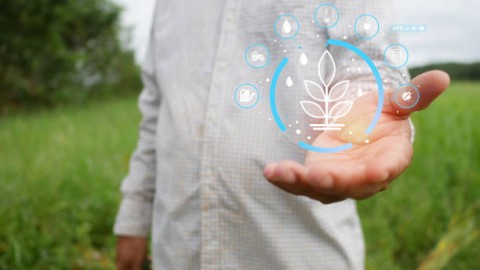 RI Kawal Hasil DeklarasiBali Soal Pangan dan Pupuk