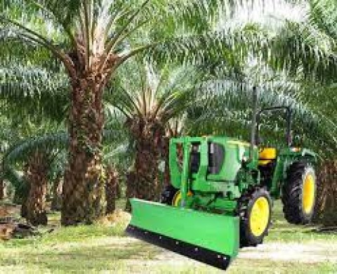 Otomatisasi Perkebunan Sawit Dikembangkan