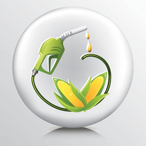 Perbalahan PanjangEnergi Versus Pangan