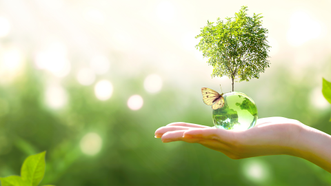 Gerak Cepat Konversi Energi Hijau