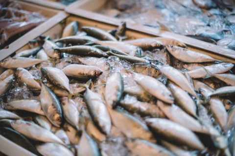 KKP Genjot Ekspor Perikanan ke Tiongkok 