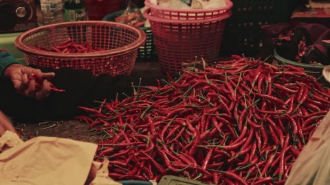 Harga Cabai Melonjak Turun