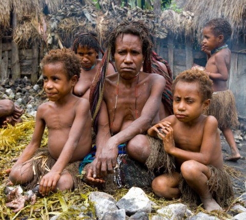 Muhadjir Effendy Cari Solusi Atasi Krisis Pangan di Papua