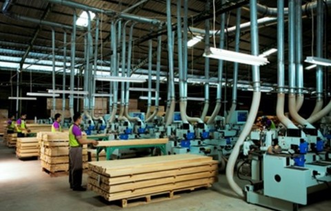 WOOD Memangkas Target Penjualan Sebesar 50%
