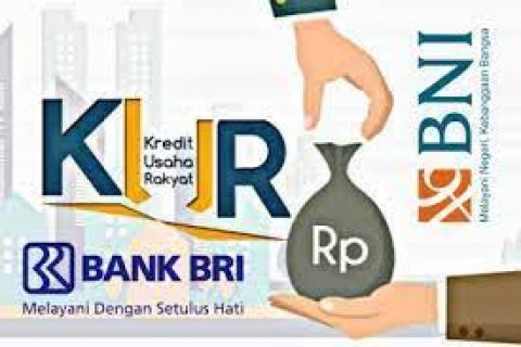 Himbara Siapkan Langkah Penghapusan Kredit Macet UMKM