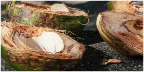  PENGOLAHAN SABUT KELAPA DI MUBA : PULUHAN TON LIMBAH DISULAP JADI CUAN