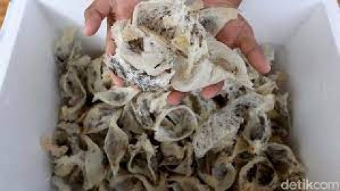 Pemerintah Pacu Ekspor Sarang Walet dan Porang