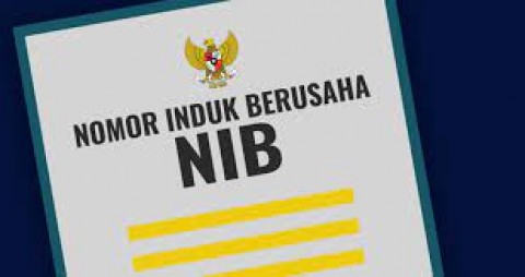 Kementerian Investasi Sudah Terbitkan 8,1 Juta NIB