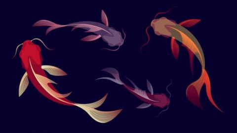 Indonesia Berambisi Jadi EksportirIkan Hias Terbesar Dunia