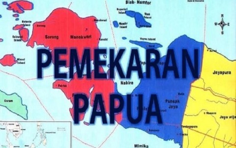 DOB, Merajut atauMerajah Papua?