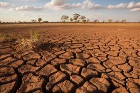 Ekspektasi Produksi Jagung pada Masa La Nina