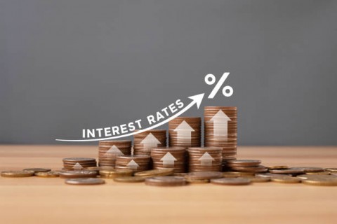 Menjinakkan GejolakNilai Tukar Rupiah