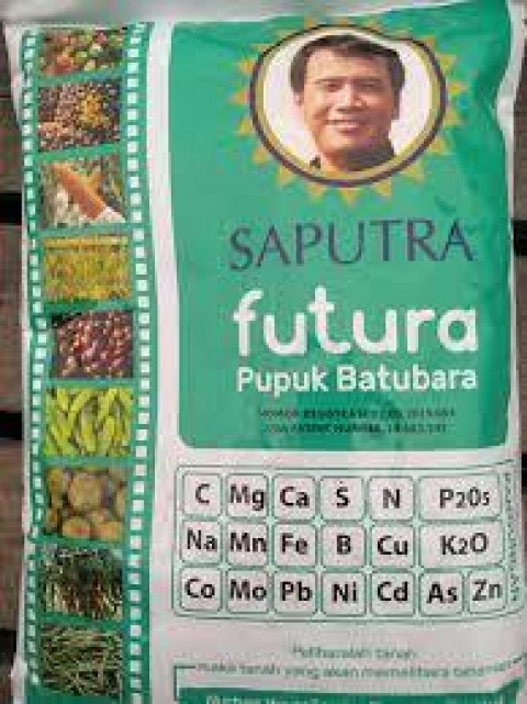 Strategi Indonesia Menembus Pasar Afrika dengan Transfer Teknologi