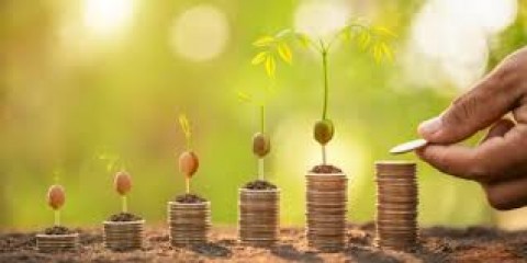 Kinerja Instrumen Investasi Kalah Melawan Inflasi