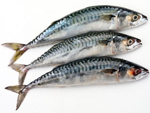 Impor Ikan dari China Naik