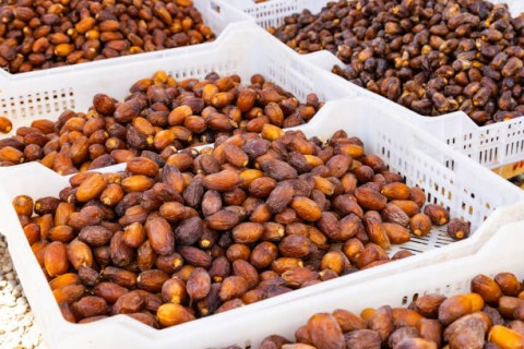 Momen Cuan Pedagang Kurma