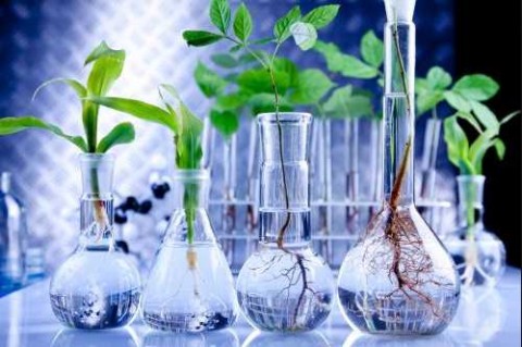 Cheil Jedang Ekspor Produk Bioteknologi US$ 580 Juta