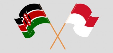 Neraca Perdagangan RI-Kenya Meningkat