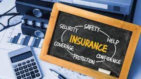 Bunga Mekar, Klaim Asuransi Kredit Naik