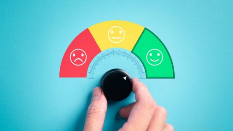 Tingginya Kepuasan Publik Terhadap Presiden Prabowo-Gibran di 100 hari Pemerintahannya