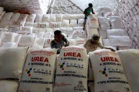 Biar Tepat Sasaran, Distribusi Pupuk Subsidi via Digitalisasi