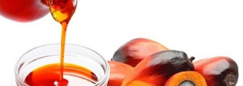 MINYAK GORENG,Mencari Produk Alternatif