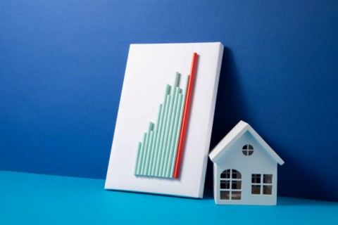 Erisk Thohir Luncurkan Holdings Danareksa 