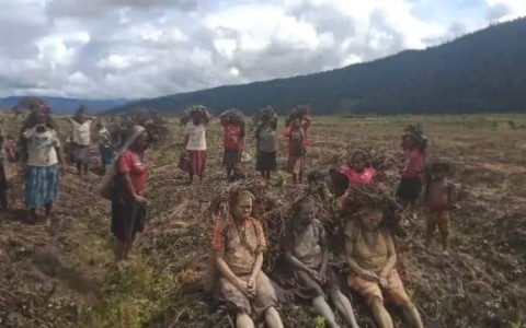 Tanggap Darurat Kelaparan di Papua Tengah