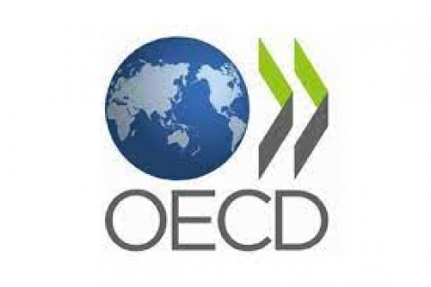 Untung-Rugi RIMasuk OECD