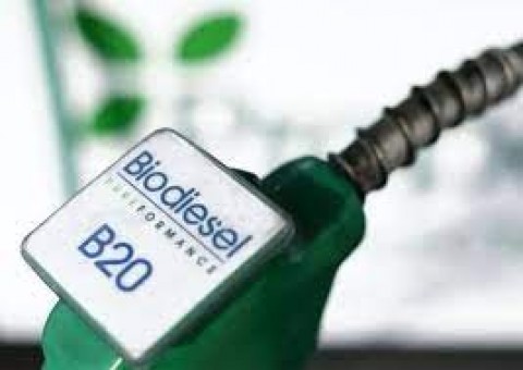 Airlangga: RI Produsen Biodiesel Terbesar di Dunia