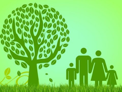 355 Tahun Sulawesi Selatan: Memperkuat Ekonomi Berkelanjutan