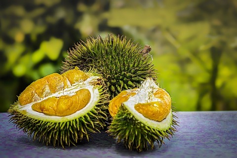 Anggota DPR SU : Durian Sumut Berpotensi Bersaing di Pasar Ekspor