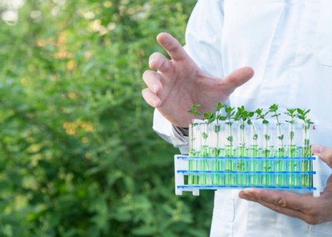 Pemajuan Kebudayaan dan Penggalian Biokultural