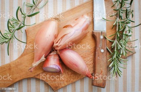 Produksi Bawang Merah, Sumbar Garap Varietas Ijo