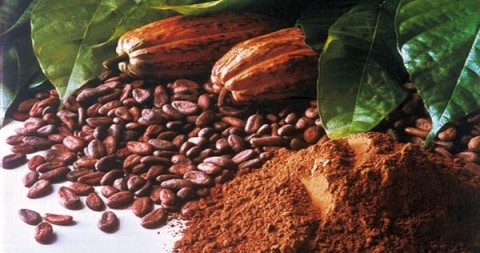 Arumia Eskpor Kopi dan Kakao ke Jepang Rp 6,6 Miliar