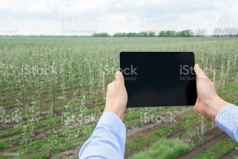 Pemulihan Ekonomi Jawa Barat, Kawal Langkah Petani Milenial