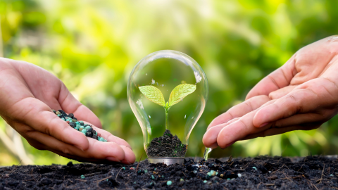 PASOKAN PUPUK : Kebutuhan DomestikJadi Pertimbangan