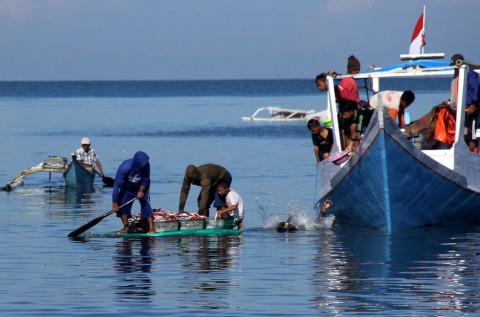 Maritim Perlu Dibangun Berkelanjutan