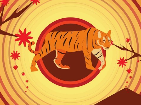 Berburu Saham di Tahun Macan