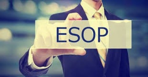 Pajak Employee Stock Option: Hak dan Kewajiban yang Wajib Diketahui Karyawan