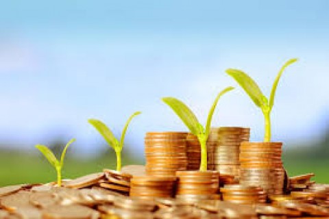 Cengkraman Investor Asing Semakin Kuat