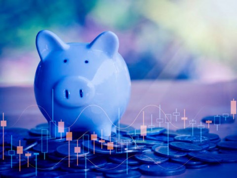 Penyimpanan Devisa di Dalam Negeri Perlu Insentif